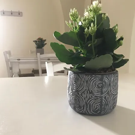 Domo Antiga Guest Гостевой дом 4*