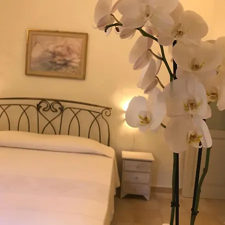 Domo Antiga Guest Гостевой дом